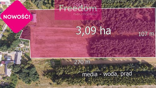 Działka rolna na sprzedaż Ożegów, Piaskowa 30 026m2 Foto 7
