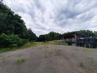 Działka budowlana na sprzedaż Bluszczów, Gorzyce 9 215m2 Foto 6