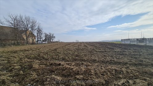 działka na sprzedaż 7500m2 działka Stolec