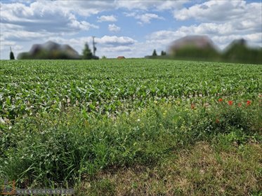 działka na sprzedaż 1257m2 działka Dojazdów