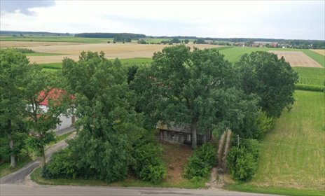 Do sprzedania działka 5383 m² z zabudową i dostępem do asfaltu działka Jabłonka-Świerczewo