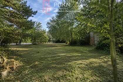 Działka 1954 m² z dostępem do mediów i zielenią. działka Skoroszyce, Dolna