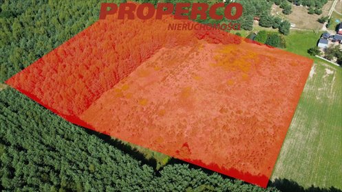 działka na sprzedaż 36661m2 działka Bogoria-Kolonia