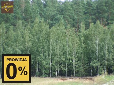 Działka leśna na sprzedaż Wiśniowo Ełckie 10 000m2 Foto 1