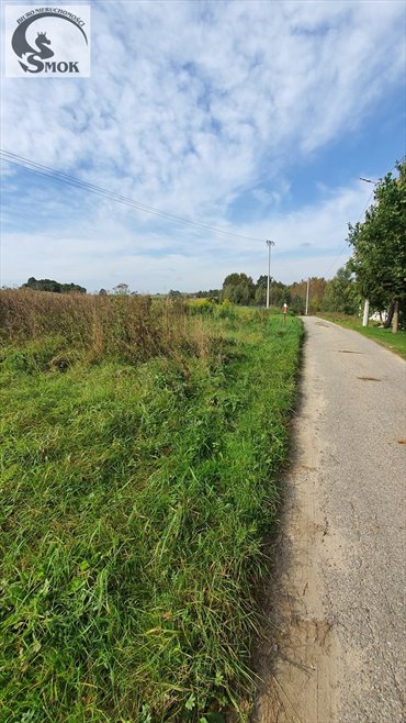 działka na sprzedaż 2940m2 działka Sąspów