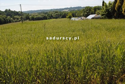 Działka budowlana na sprzedaż Wielkie Drogi 8 900m2 Foto 1