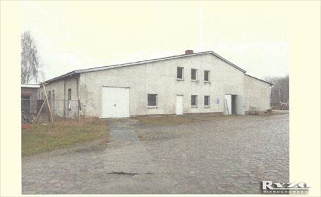 Magazyn na wynajem Niemcy, Locknitz, Locknitz 3 800m2 Foto 2