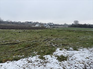 Działka 0,119 ha w Starym Czarnowie (warunki zabudowy) działka Stare Czarnowo