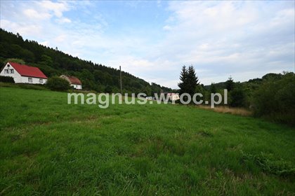 działka na sprzedaż 1325m2 działka Ludwikowice Kłodzkie, Słoneczna