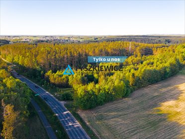 działka na sprzedaż 3000m2 działka Skorzewo
