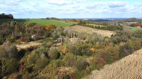 Działka inwestycyjna na sprzedaż Jasienica 32 622m2 Foto 6
