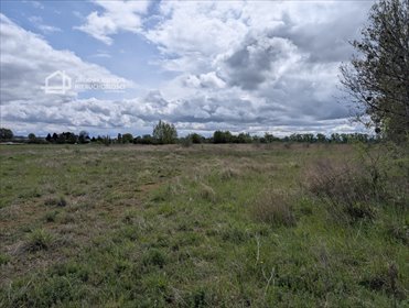 Działka na wynajem 10 000 m² z dostępem do mediów działka Przejazdowo