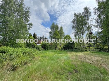 Malownicza działka 709 m² z widokiem na naturę działka Strzegomiany