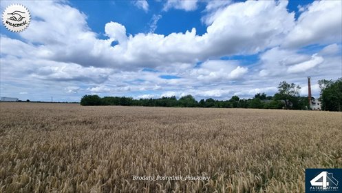 działka na sprzedaż 1301m2 działka Stemplew