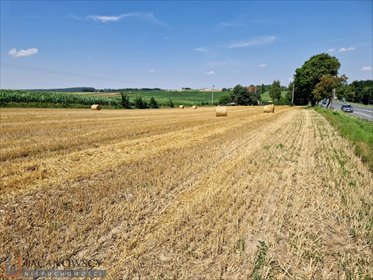 Wilczkowice, działka 91,21 ara z MPZP - zapraszam działka Wilczkowice