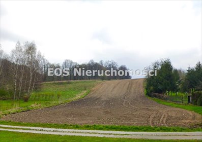 działka na sprzedaż 74100m2 działka Burgrabice