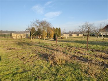 Sprzedam działkę 1308 m² w Strzegomiu z mediami i lasem działka Strzegom
