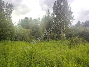 Działka leśno-budowlana 3 210 m2 w spokojnym otoczeniu działka Budy Michałowskie