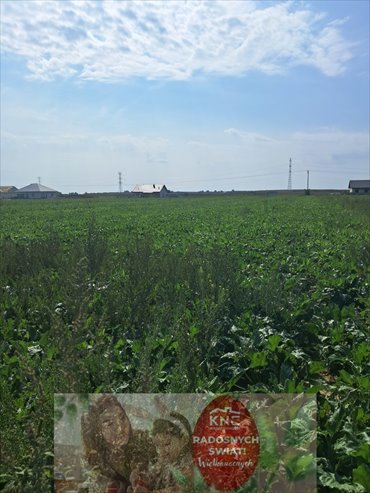 działka na sprzedaż 1594m2 działka Puchaczów