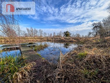 działka na sprzedaż 15000m2 działka Topolinek