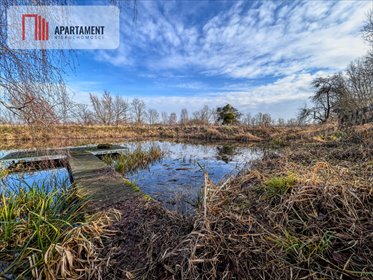 działka na sprzedaż 15000m2 działka Topolinek