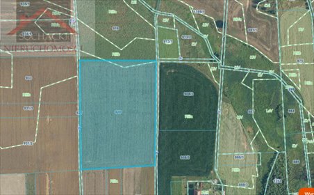 działka na sprzedaż 31200m2 działka Henryków Lubański