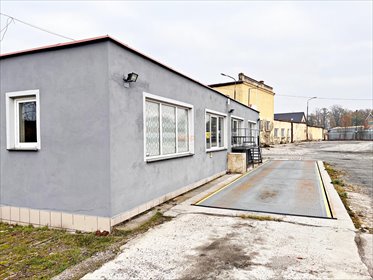 działka na wynajem 29979m2 działka Kąty Wrocławskie, Spółdzielcza