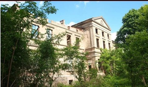 Pałac w Wierzbięcinie 574 m2 z parkiem i historią dom Wierzbięcin