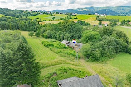 Unikalne siedlisko z lasem i budynkami - polecam dom Pisarzowa