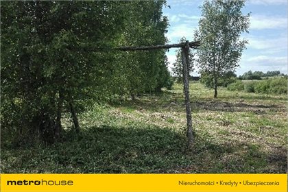Działka rolna na sprzedaż Pierwągi, Jeziorany 5 000m2 Foto 3