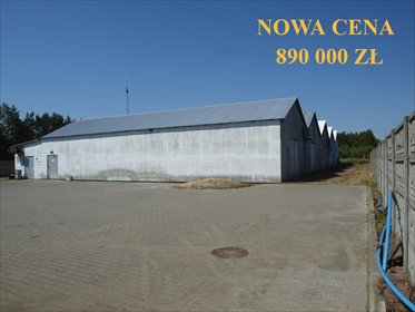 magazyn na sprzedaż 944m2 magazyn Kaliłów