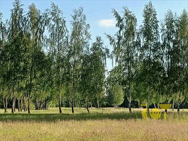 Działka budowlana na sprzedaż Słomczyn, Wilanowska 2 444m2 Foto 7