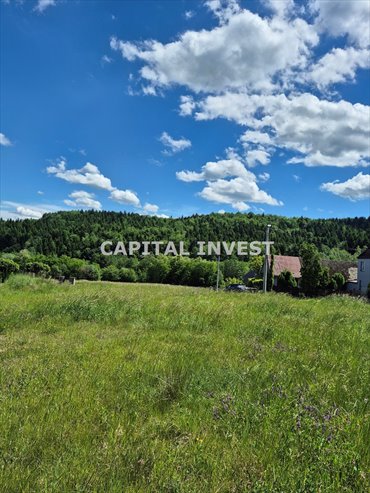 Widokowa działka 2800 m² w Sułkowicach - polecam działka Sułkowice