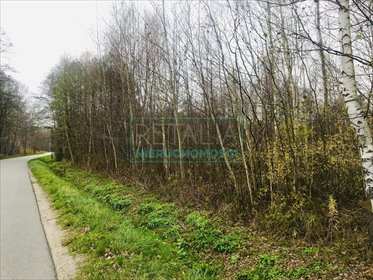 działka na sprzedaż 4500m2 działka Budy Michałowskie