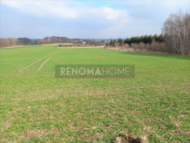 Działka budowlana na sprzedaż Witoszów Górny 1 518m2 Foto 3