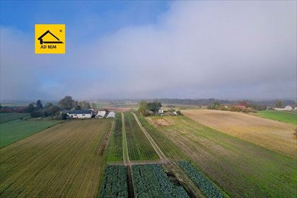 działka na sprzedaż 10017m2 działka Zezulin Niższy, Zezulin