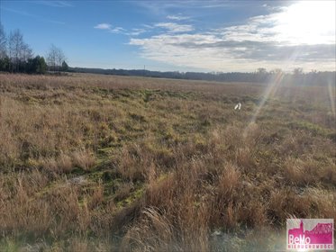 działka na sprzedaż 1400m2 działka Warząchewka Królewska