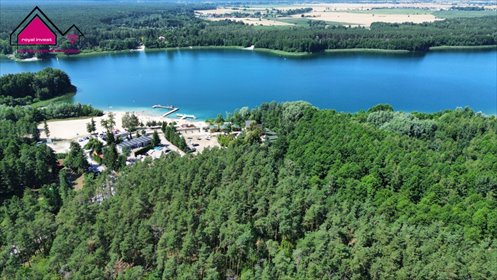 Działka leśna nad Jeziorem Budzisławskim - spokój i prywatność. działka Tręby Stare