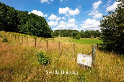 Działka budowlana na sprzedaż Borkowo, Starowiejska 1 628m2 Foto 3