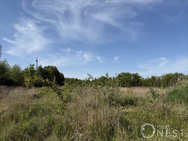 Działka 2400 m² w Borowinie – idealna pod dom lub usługę działka Borowina