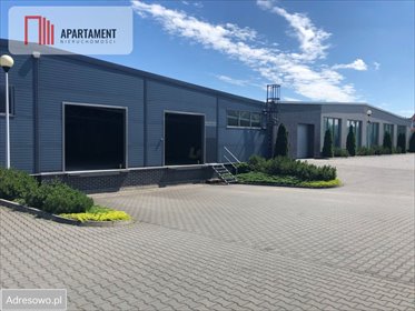 lokal użytkowy na sprzedaż 3090m2 lokal użytkowy Piła, Górne