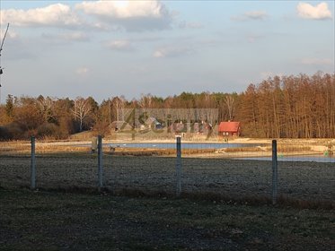 Sprzedam działkę 1245 m² w Ojrzanowie z MPZP, media i las działka Ojrzanów