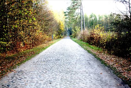 dom na sprzedaż 377m2 dom Nurzec