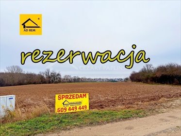 działka na sprzedaż 14100m2 działka Konopnica, Konopnica