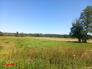 działka na sprzedaż 16300m2 działka Likiec