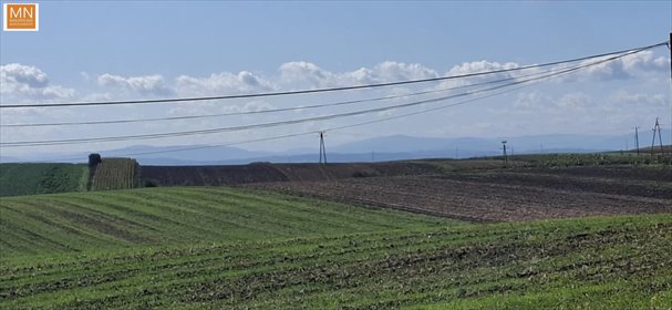 Działki rolne 1,2 ha z lasem i drogą krajową 79 działka Koszyce