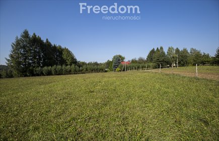 działka na sprzedaż 7100m2 działka Chmielnik