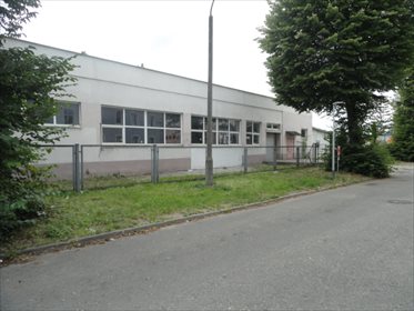 lokal użytkowy na sprzedaż 579m2 lokal użytkowy Elbląg, Rybna