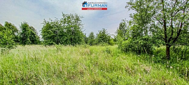 działka na sprzedaż 1350m2 działka Oleśnica