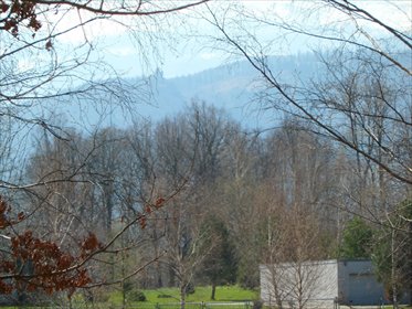 działka na sprzedaż 5020m2 działka Wojcieszyce